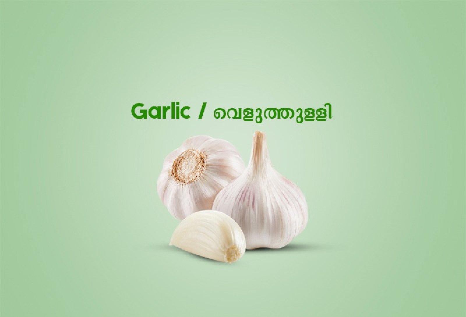 Garlic / വെളുത്തുള്ളി (250 gm)